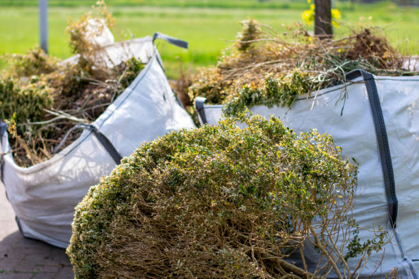 Best Trash Removal Near Me  in Elkland, PA